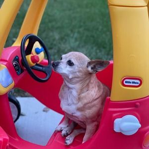 Meet your Posher, Lisa